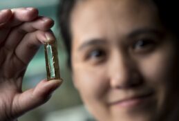 Die auf Nanodrähten basierende Batterie ermöglicht hundertausende Ladezyklen. (Bild: Steve Zylius/UCI)