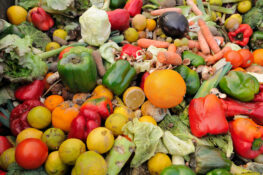 Zu viele noch verwertbare Lebensmittel landen im Müll.