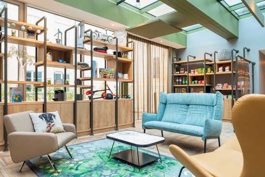 Furniture, Interior design, Flooring