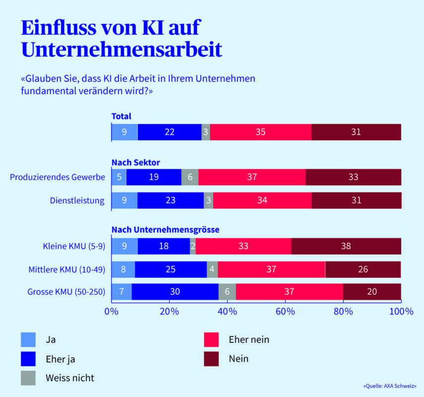 SMEs do not expect a fundamental AI revolution. Source: zvg
